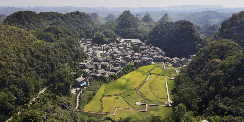 World Architecture Festival 2022 Winners