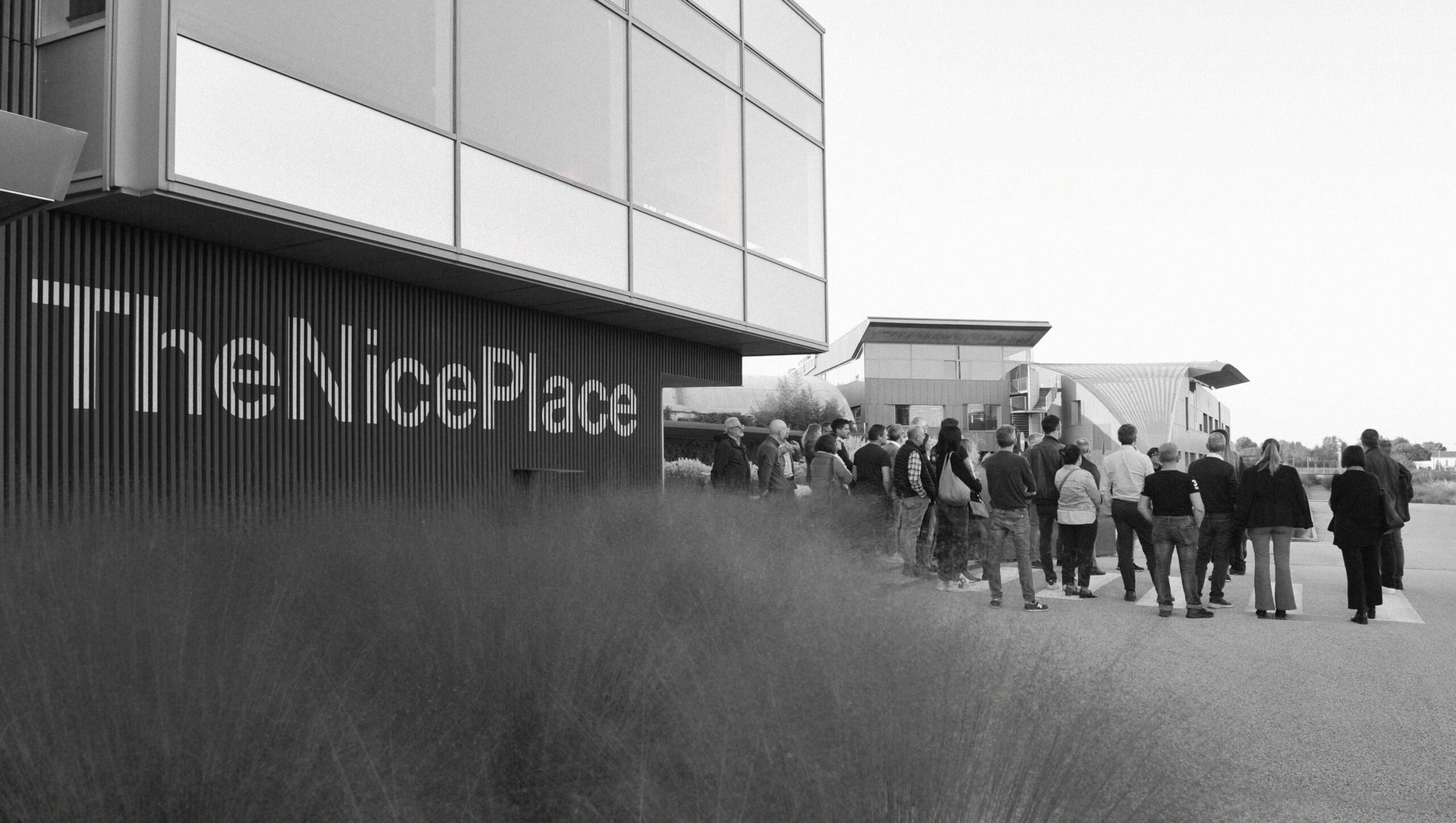 Biodiversità_Valcucine e Nice
